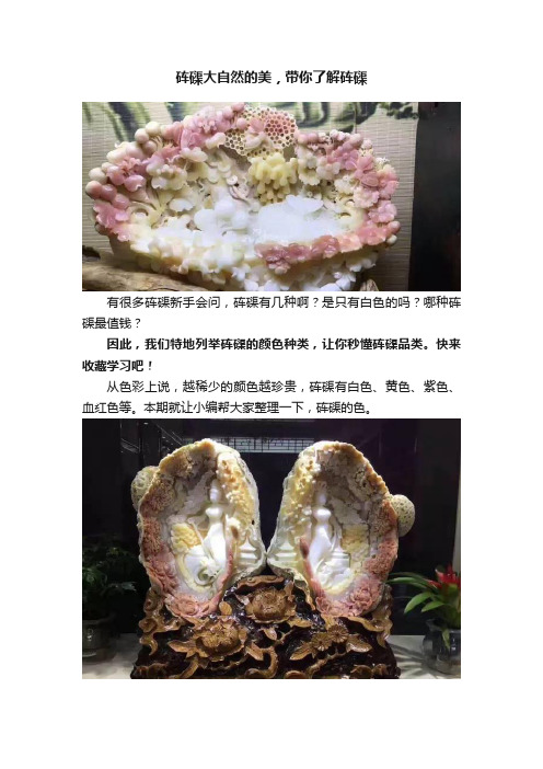 砗磲大自然的美，带你了解砗磲