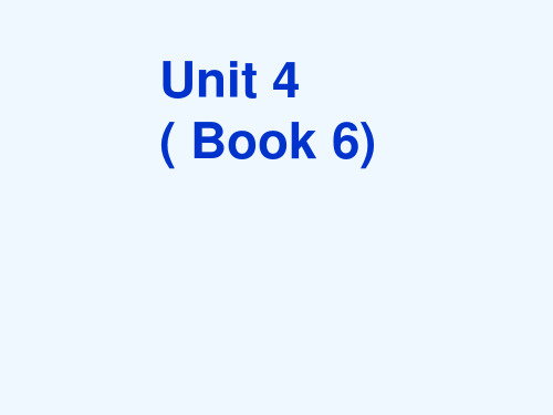 高中英语 Unit 4 ( Book6) revision课件 新人教版选修6