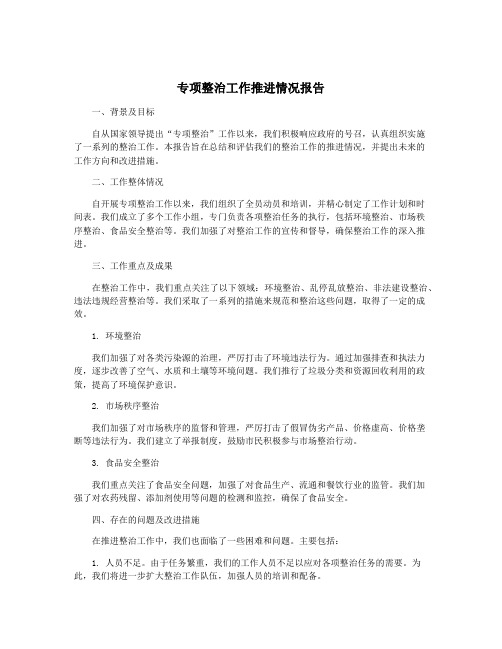 专项整治工作推进情况报告