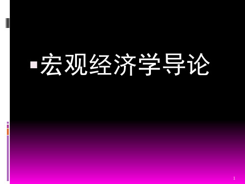 宏观经济学导论