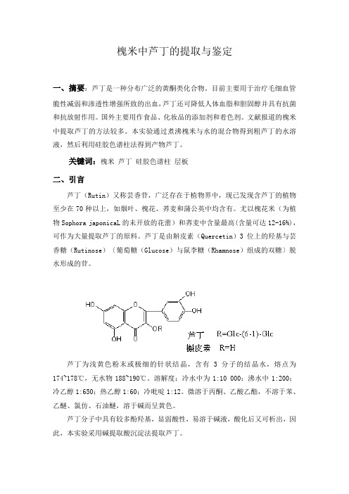 槐米中芦丁的提取与分离(建大)