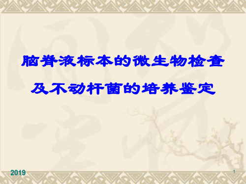 微生物学检验第版不动杆菌与脑脊液ppt课件