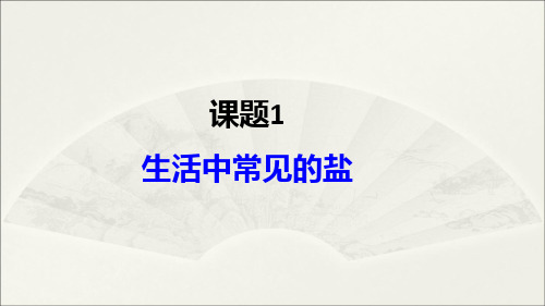 人教版九年级下册 11.1 几种常见的盐 (第二课时) (32张PPT)