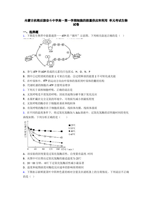 内蒙古杭锦后旗奋斗中学高一第一学期细胞的能量供应和利用 单元考试生物试卷