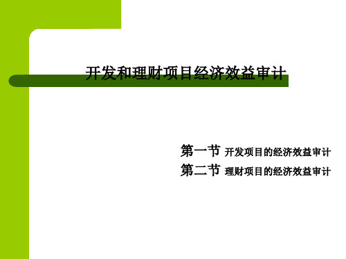 经济效益审计及项目管理知识理财分析