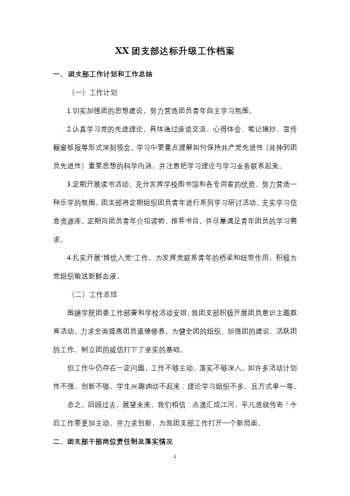 XX团支部达标升级工作档案