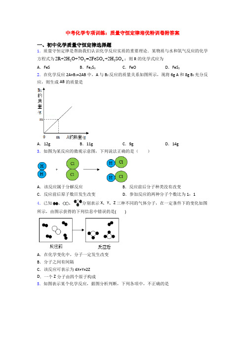 中考化学专项训练：质量守恒定律培优特训卷附答案