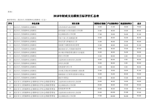 2018年财政支出绩效目标评价汇总表