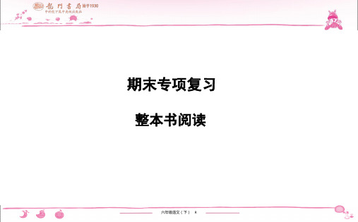 (黄冈小状元作业本)部编版六年级语文下册 期末专项复习 整本书阅读