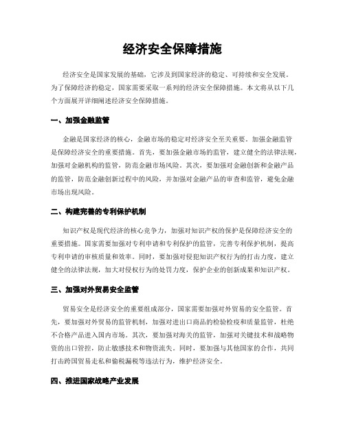 经济安全保障措施