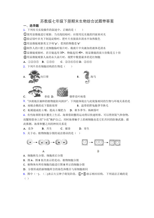 苏教版七年级下册期末生物综合试题带答案