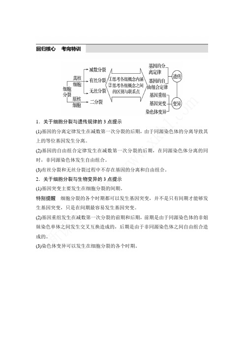 细胞分裂与遗传变异的联系知识梳理