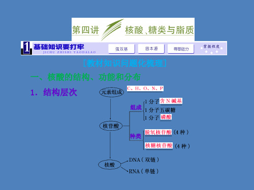 2014高考生物一轮复习高频考点通关讲练：1.4核酸、糖类与脂质