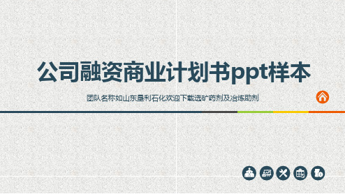 公司融资商业计划书ppt样本