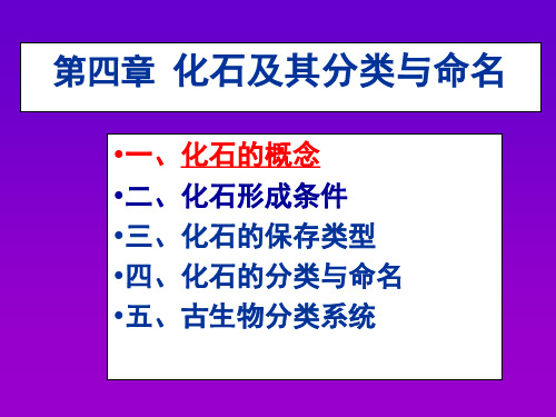 《古生物学》化石形成保存