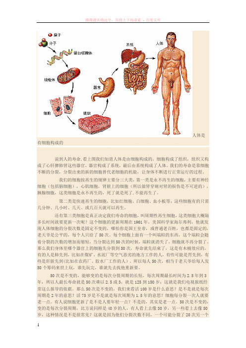 人的长寿和年轻的决定因素