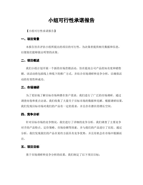 小组可行性承诺报告