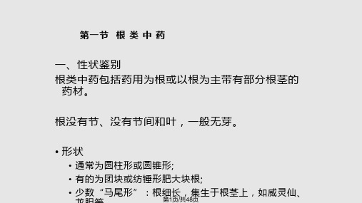 植物药类根及根茎类中药PPT课件