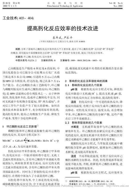 提高肟化反应效率的技术改进_袁年武