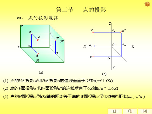 点的投影(二)电子教案