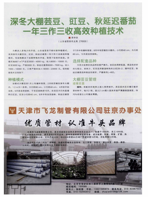 深冬大棚芸豆、豇豆、秋延迟番茄一年三作三收高效种植技术