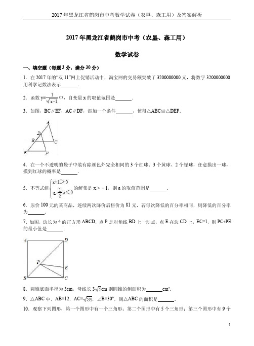 2017年黑龙江省鹤岗市中考数学试卷(农垦、森工用)及答案解析