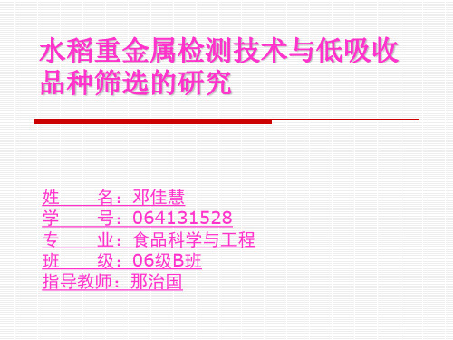 水稻重金属检测技