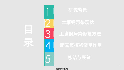 土壤中铜污染及其超富集植物的修复作用PPT课件