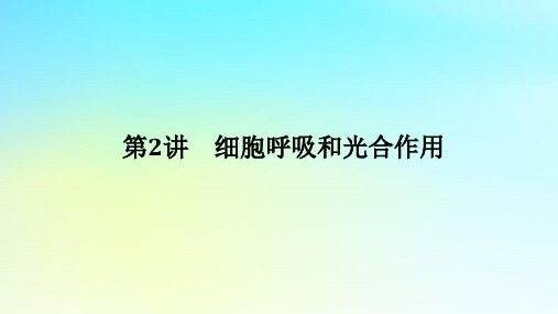 高考生物二轮专题复习专题二生命系统的代谢第2讲细胞呼吸和光合作用课件