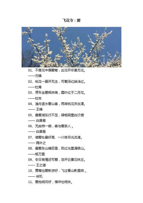 飞花令：爱