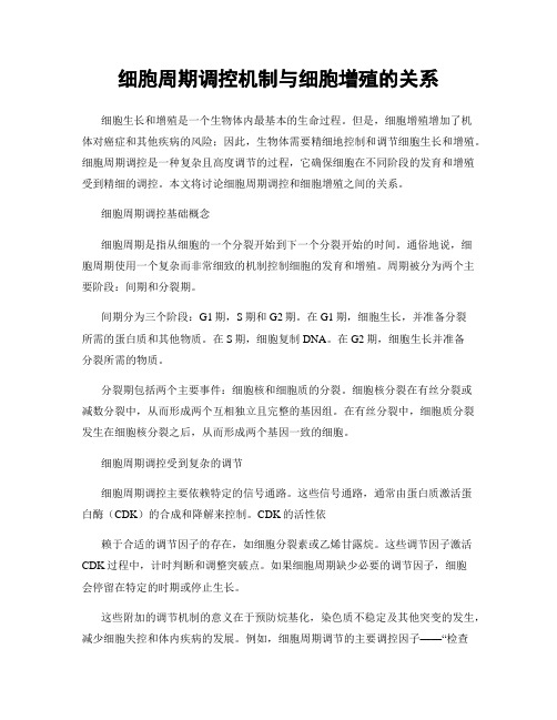 细胞周期调控机制与细胞增殖的关系