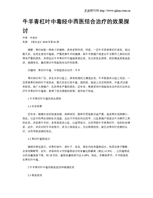 牛羊青杠叶中毒经中西医结合治疗的效果探讨