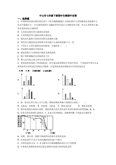 中山市七年级下册期中生物期中试卷