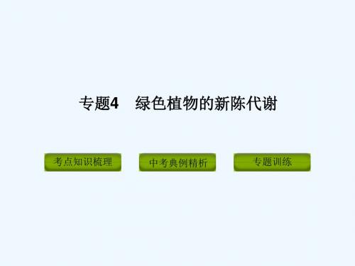 广东省深圳市福田云顶学校中考生物专题复习 专题4 绿色植物的新陈代谢课件 新人教版