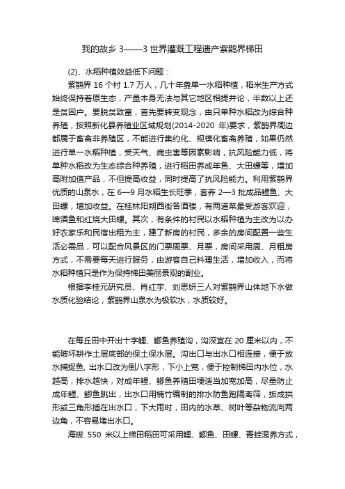 我的故乡3——3世界灌溉工程遗产紫鹊界梯田