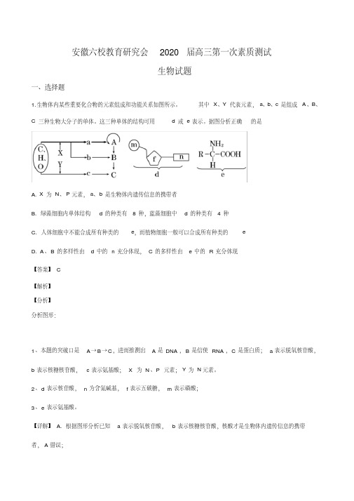 安徽省六校2019-2020学年高三第一次测试生物试题(解析版)