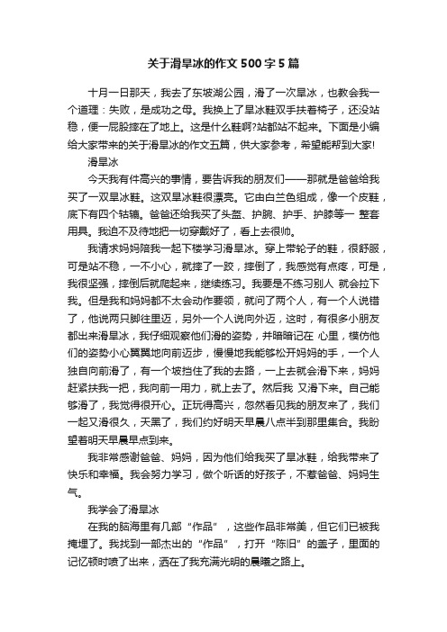 关于滑旱冰的作文500字5篇