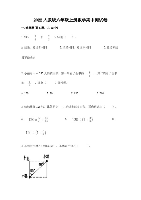 2022人教版六年级上册数学期中综合卷(易错题)word版