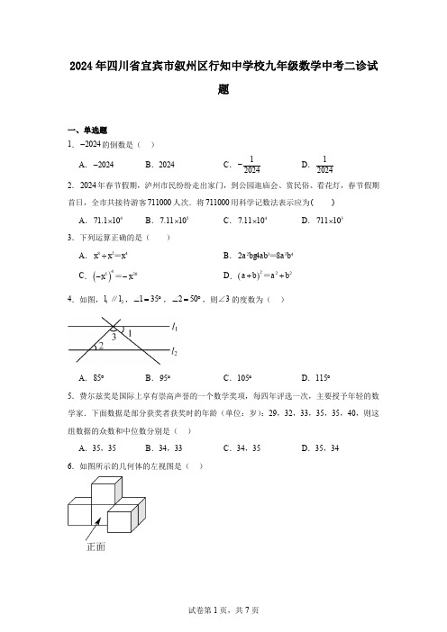 2024年四川省宜宾市叙州区行知中学校九年级数学中考二诊试题