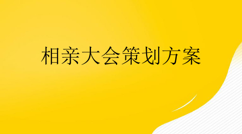 相亲大会策划方案优秀PPT文档