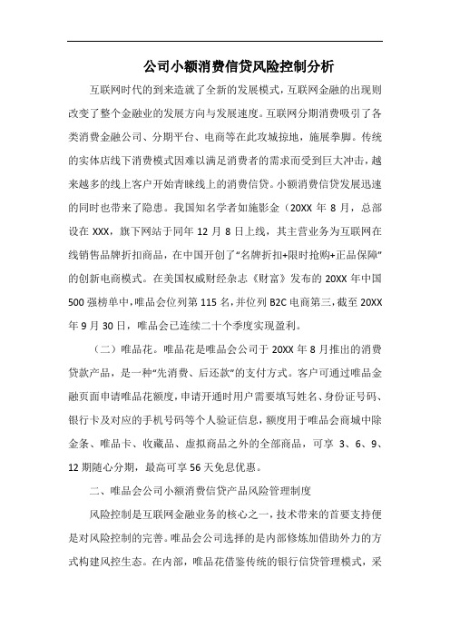 公司小额消费信贷风险控制分析.docx