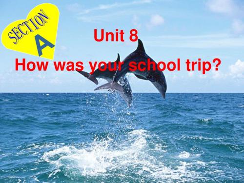 人教版初二八年级英语上册 Unit 8 How was your school trip 7 PPT课件
