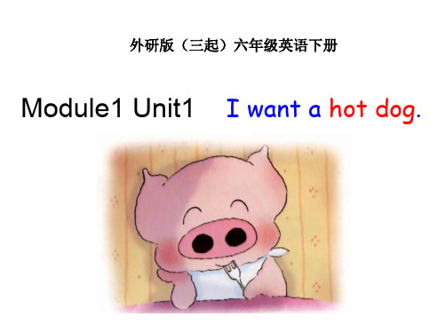 外研版三起小学英语六年级下册精品课件：1Unit 1 I want a hot dog,please. (3)