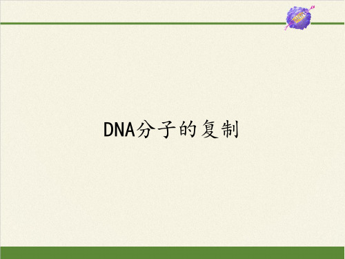 高中生物必修二课件-4.2.2DNA分子的复制1-苏教版