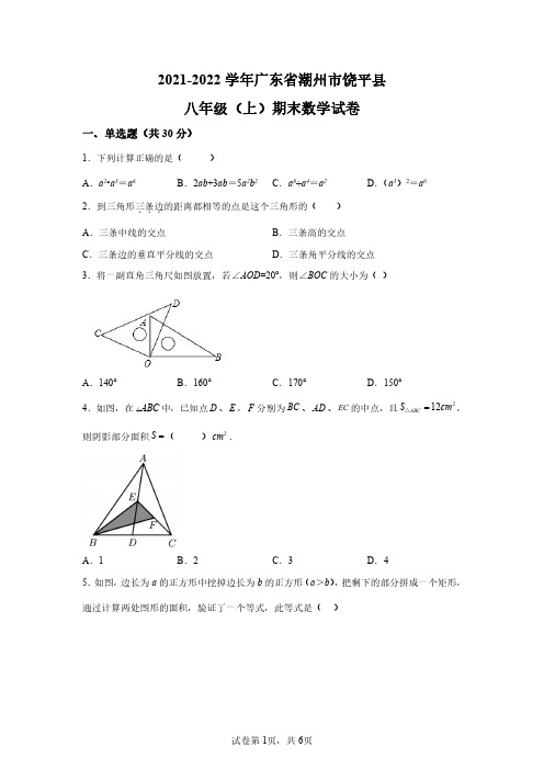 广东省潮州市饶平县2021-2022学年八年级上学期期末数学试题