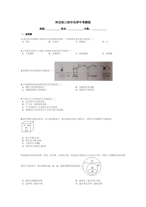 河北初三初中化学中考模拟带答案解析
