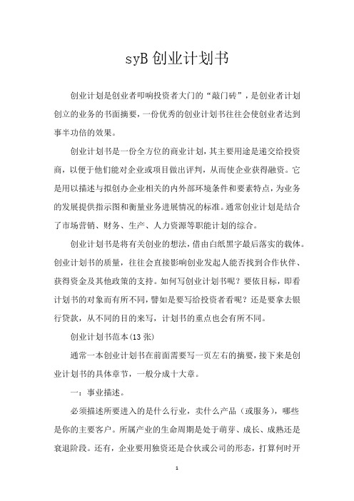 syB创业计划书