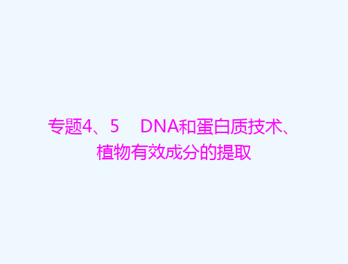 2022届高考生物一轮复习专题45DNA和蛋白质技术植物有效成分的提任件选修1