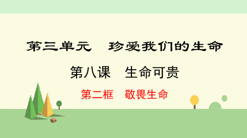 七年级上册 道德与法治   敬畏生命