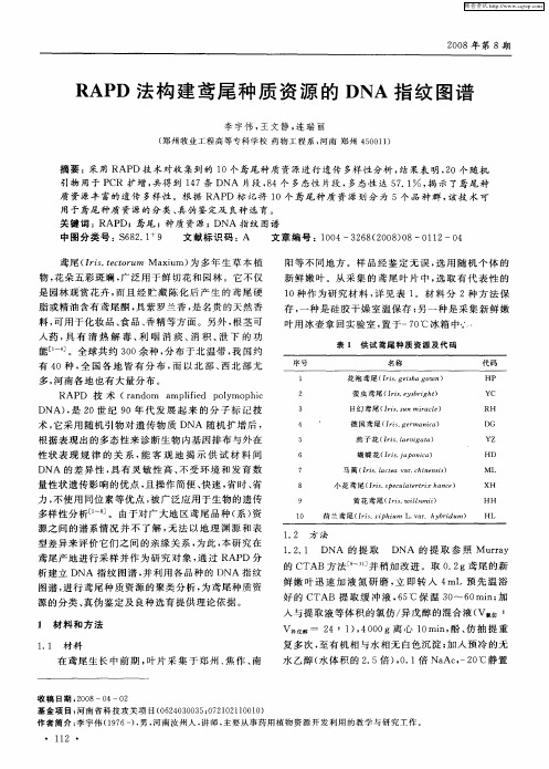 RAPD法构建鸢尾种质资源的DNA指纹图谱